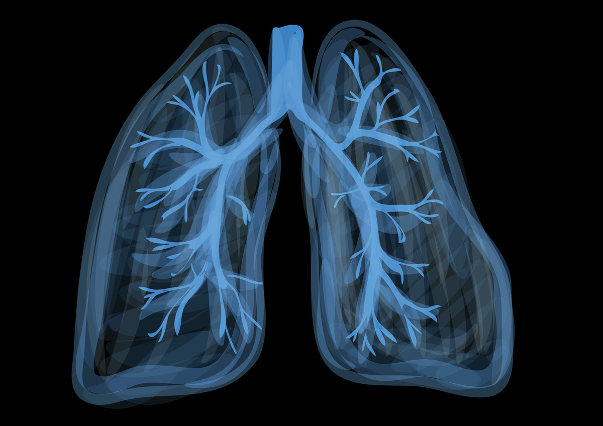 Mental and Emotional Aspects of the Lungs 